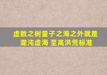 虚数之树量子之海之外就是 混沌虚海 至高洪荒标准